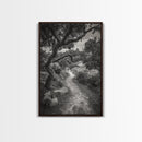 Forest Path, Twisting Trees, Nature Trail Scene, Framed Canvas Print, Earthy Wall Art, Boho Woodland Decor, Entryway or Hallway Accent