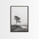 Leaning Tree Path, Soft Fog Scene, Calm Landscape, Canvas Print, Serene Entryway Wall Art, Nature Photography, Minimalist Decor