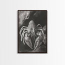 Lobster Close Up, Marine Life Art, Coastal Kitchen Decor, Monochrome Sea Animal, Framed Canvas Print, Ocean Wall Art, Nautical Print