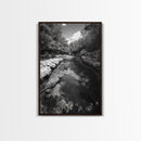 River Reflection, Nature Calm, Forest Stream, Canvas Print, Black and White Landscape Wall Art, Rustic Bathroom Decor, Tranquil Home Vibe