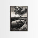 Tree Reflection, Still Water, Peaceful Nature, Framed Canvas Print, Tranquil Wall Art, Rustic Bedroom Decor, Black and White Photography