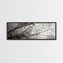 Macro Insect Wing, Abstract Nature Texture, Modern Neutral Wall Decor, Framed Canvas Print, Office Art, Monochrome Macro Photography