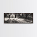 Sunrays Meadow, Tree Light, Golden Hour, Framed Canvas Print, Fall Living Room Art, Rustic Nature Decor, Warm Toned Landscape
