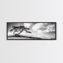 Windswept Tree, Coastal Nature, Ocean Cliff View, Framed Canvas Print, Zen Wall Art, Minimalist Decor, Calm Living Room Accent