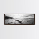 Snake On Beach, Coastal Wildlife, Dramatic Black and White, Framed Canvas Print, Nature Wall Art, Minimalist Decor, Office Statement Art