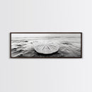 Sand Dollar, Ocean Shore, Calm Waters, Canvas Print, Coastal Wall Art, Minimalist Bathroom Decor, Seashell Beach Photography