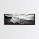 Shell on Shore, Monochrome Coastal, Canvas Print, Boho Wall Art, Bathroom Wall Decor, Natural Beach Aesthetic, Ocean Inspired Art