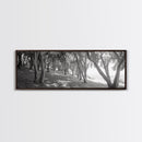 Forest Path, Tree Tunnel, Light Shadows, Woodland Magic, Framed Canvas Print, Nature Lover Gift, Entryway Wall Art, Modern Rustic Style