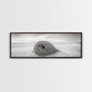 Tumbleweed Nest, Desert Beach, Natural Sculpture, Coastal Simplicity, Canvas Print, Modern Boho Wall Art, Neutral Home Aesthetic