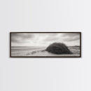 Windswept Dunes, Coastal Brush, Tumbleweed Form, Beach Nature, Framed Canvas Print, Fall Wall Art, Rustic Decor, Neutral Bedroom Style