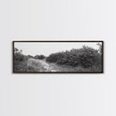 Wild Apple Path, Nature Overgrowth, Autumn Orchard Trail, Canvas Print, Fall Farmhouse Kitchen Art, Rustic Seasonal Wall Decor