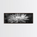 Soft Bloom, Desert Cactus Flower, Close-Up Botanical, Modern Black White Art, Framed Canvas Print, Bathroom Wall Art, Nature Photography