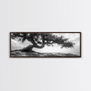 Bending Tree, Windswept Landscape, Coastal Nature, Monochrome Art, Framed Canvas Print, Zen Wall Art, Minimalist Living Room Decor
