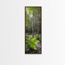 Birch Tree Forest, Green Ferns, Nature Escape, Framed Canvas Print, Botanical Art, Eco Wall Decor, Zen Forest Scene, Serene Living Room
