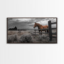 Rustic Horse, Country Fence, Western Scene, Moody Skies – Framed Canvas Print, Farmhouse Wall Art, Autumn Decor, Cabin Living, Cowboy Vibe