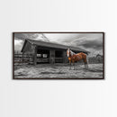 Rustic Horse, Country Barn, Moody Sky, Farm Vibes, Framed Canvas Print, Western Decor, Farmhouse Wall Art, Living Room Accent, Fall Art