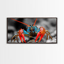 Vibrant Lobster, Red Blue, Sea Creature, Framed Canvas Print, Coastal Kitchen Wall Art, Ocean Wildlife, Nautical Bathroom Decor, Pop Art