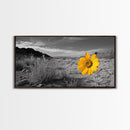 Yellow Flower, Desert Bloom, Monochrome Landscape, Canvas Print, Botanical Wall Art, Minimalist Nature Decor, Modern Kitchen Accent