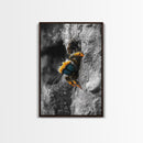 Fuzzy Bee Closeup, Insect Macro, Nature Texture, Framed Canvas Print, Wildlife Wall Art, Entomology Decor, Nature Photography