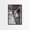 White Horse, Western Ranch, Rustic Stable, Cowboy Framed Canvas Print, Farmhouse Wall Art, Country Living Room Decor, Black White Art