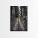 Forest Path, Yellow Trees, Autumn Trail, Framed Canvas Print, Fall Wall Art, Woodland Nature Decor, Cozy Home Accent, Entryway Artwork