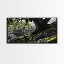 Mossy Oak Tree, oak tree art, nature wall art, rustic art, botanical prints, green wall art, extra wide art, Framed Canvas Print