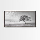 Solitary Tree, Minimalist Art, Landscape Painting, Oak Tree Art, Extra Wide Art, Moody Art, Wabi Sabi Wall Art, Framed Canvas Print