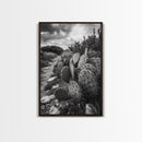 Cactus Trail, southwest wall art, rustic decor, desert painting, wabi sabi art, nature landscape art, framed canvas print, farmhouse decor