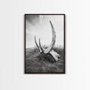 Large horns, rustic skull, bull and bear art, moody wall art, desert decor, cowboy aesthetic, framed canvas print, minimalist art