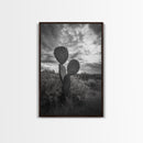 Prickly Pear, cactus art, Joshua tree art, wabi sabi art, moody art, black and white, framed canvas print, minimalist decor, rustic wall art