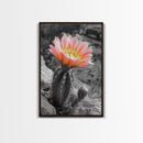 Blooming cactus, botanical print, desert flora, framed canvas print, nature decor, succulent wall art, pink flowers, southwest painting