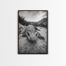 Lizard art, wildlife photography, moody art, desert decor, black and white photography, wabi sabi wall art, framed canvas print, unique gift