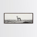 Lone Gazelle, moody art, southwest wall art, extra wide art, wabi sabi art, minimalist art, framed canvas print, panoramic painting