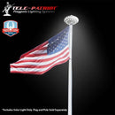 TelePatriot 600 Series Solar Flagpole Light - 600 Lumen IP65 LED