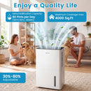 80 Pint Dehumidifier with Drain Hose & Smart Control by DirectDeals