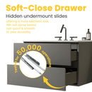 TIA 30" Wall Mount Space Grey Bathroom Vanity by HouseOfZazla