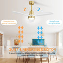 Indoor Ceiling Fan With Dimmable LED Light, 6 Speed Remote ControlLED DC Motor, Reversible Blades by Unique Piece Furniture
