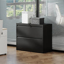 Lateral File Cabinet, Heavy Duty Filing Holds Letter/Legal/A4 Files by HouseOfZazla
