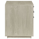 Loomis - 3 Drawer Home Office File Cabinet - White / Gray by HouseOfZazla