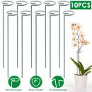 Garden Plant Support Stakes for Single Stem by LJGDeals