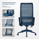 Ergonomic Colorful Office Chair