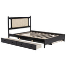 Platform Bed With 2 Big Drawers & Trundle by HouseOfZazla