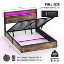 Frame With Hydraulic Lift Storage, RGB LED Lights & Multi-Port Charging, No Box Spring Needed by HouseOfZazla