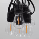 Hometown Evolution, Inc. E26 Commercial String Lights with 16 Gauge Wire (S14 LED Plastic, 100 Foot 50 Socket) by GreenHaven Gardens