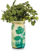 Modern Sprout Mason Garden Jar - Self-Watering Hydroponics Growing System Kit with Organic Herb Seeds - Jar Planter for Indoor Herb Garden - Seed Starter Kit - Home Decor & Gifting - Cilantro by GreenHaven Gardens