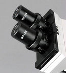 AmScope B100-3M Digital Compound Binocular Microscope, 40X-1000X Magnification, Brightfield, Tungsten Illumination, Abbe Condenser, Plain Stage, Includes 3MP Camera with Reduction Lens and Software by TinyTreasures Baby Boutique