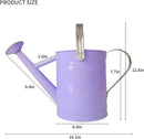 Metal Watering Can for Outdoor and Indoor Plants, Watering Can Decor, 1 Gallon (Purple) by GreenHaven Gardens