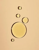 OSEA Undaria Algae™ Body Oil 5 oz - After Shower Body Oil - Non-Greasy Body Serum & Fast Absorbing Skincare - Clean Beauty & Vegan Seaweed Body Moisturizer for Dry Skin by TinyTreasures Baby Boutique