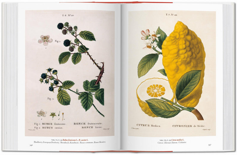 A Garden Eden. Masterpieces of Botanical Illustration. 45th Ed. (Spanish, English, Italian)