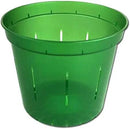 rePotme 6 inch Orchid Pot 3 Pack - Slotted Orchid Pots with Holes for Repotting (Green Emerald) by GreenHaven Gardens
